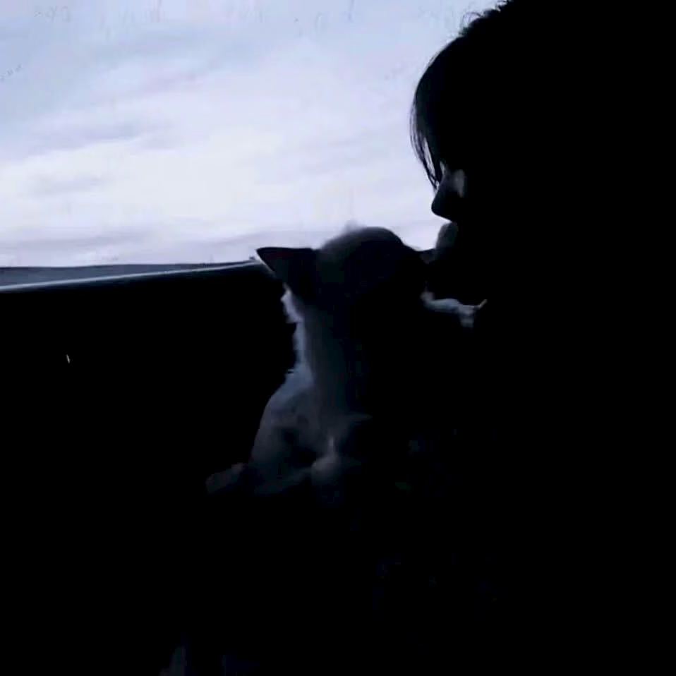 小缘导航头像
